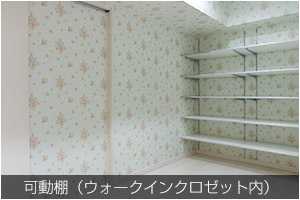 可動棚（ウォークインクロゼット内）