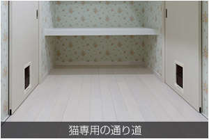 猫専用の通り道